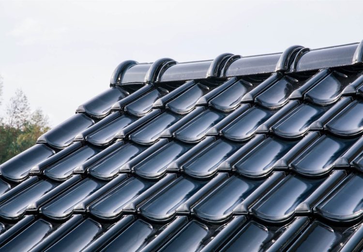 zonnepanelen dakpannen